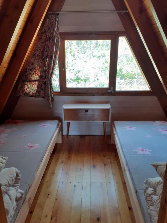 Domki Pod Debami Trzcianka Dış mekan fotoğraf